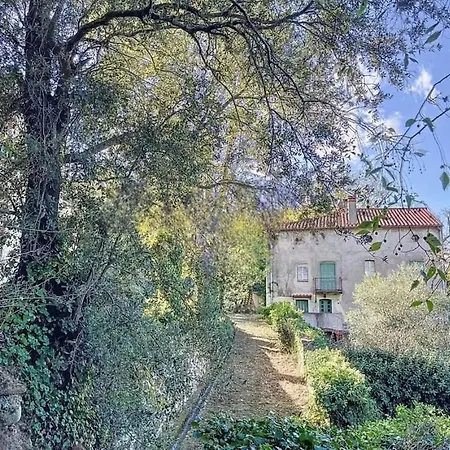 Apartman Bambou Studio, Cocon Nature