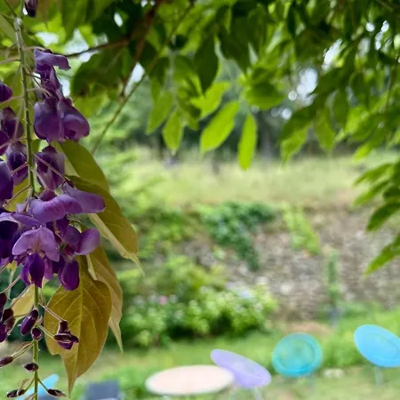 Apartman Bambou Studio, Cocon Nature Maureillas