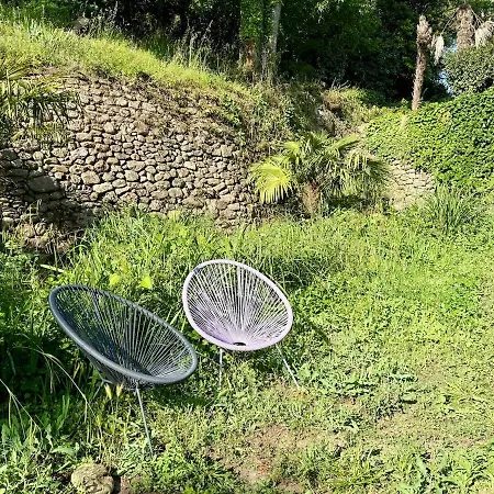 Bambou Studio, Cocon Nature