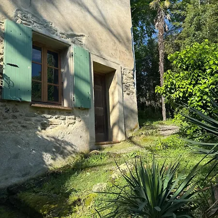 Bambou Studio, Cocon Nature Apartment *